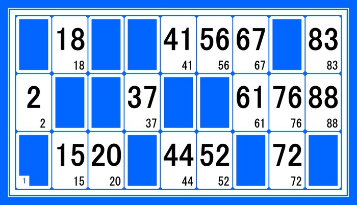 Grille De Loto Vierge à Imprimer Gratuit