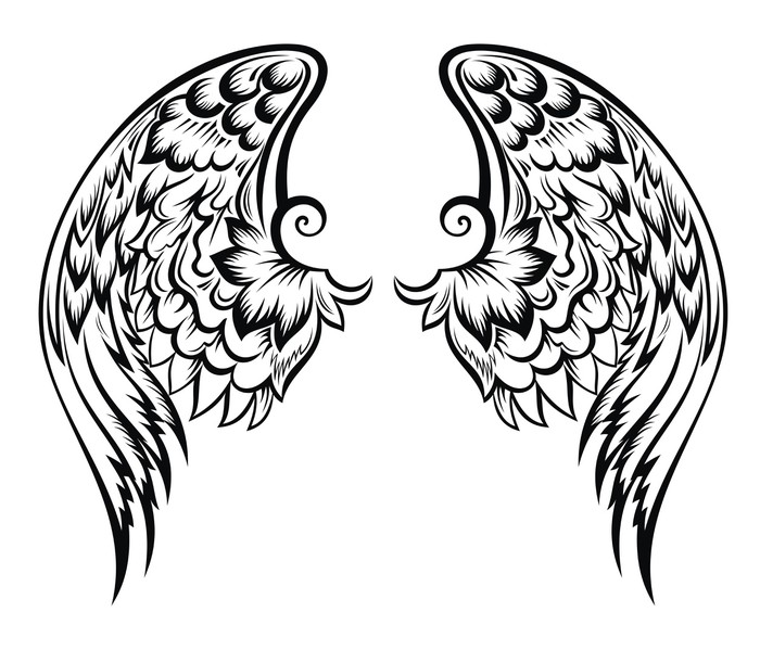 Tattoo vector design. raven skull feathered wings us...
