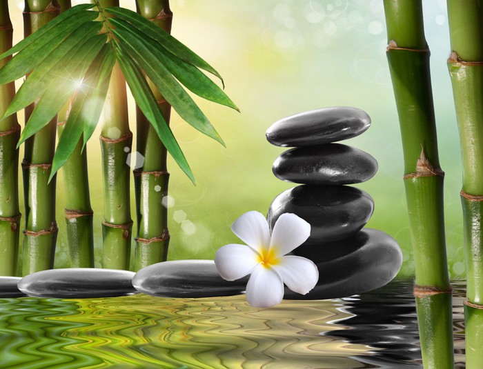 spa stones,bamboo with frangipani Poster • Pixers® • We live to change