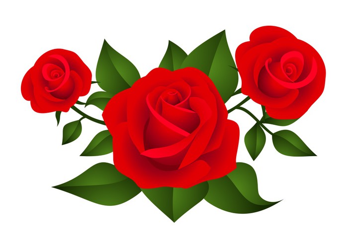 Three red roses. Vector illustration. Wall Mural • Pixers® • We live to ...