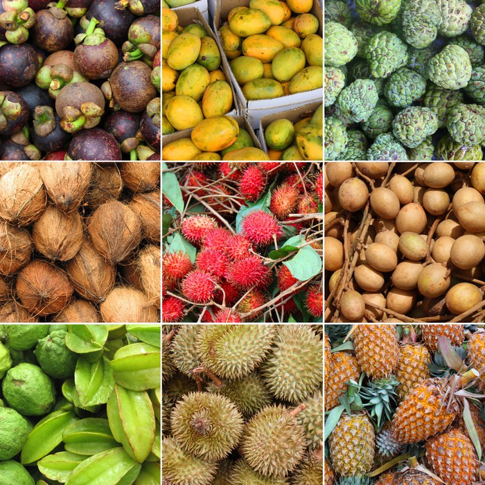 Fototapete Exotische Früchte (Asien) • Pixers® - Wir leben, um zu ... Fototapete Exotische Früchte (Asien) • Pixers® - Wir leben, um zu ...