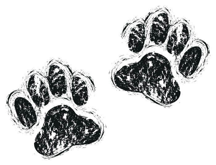 Paw print hand drawn sketch icon Royalty Free Vector Image