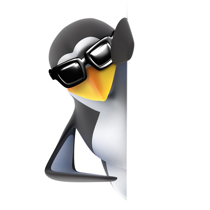 Regnbue pengeoverførsel Korrespondance Plakat 3d pingvin i solbriller bag en tom side - PIXERS.DK