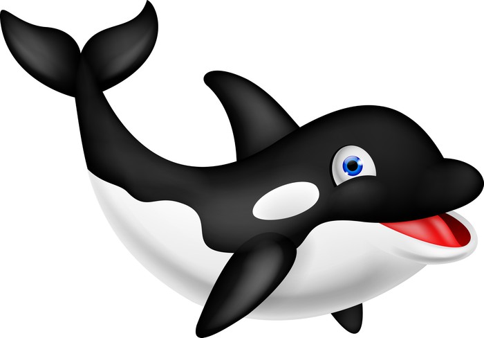 Fotobehang Orca cartoon • Pixers® - We leven om te veranderen