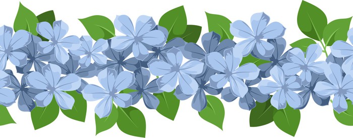 Resultado de imagen para flores sin fondo