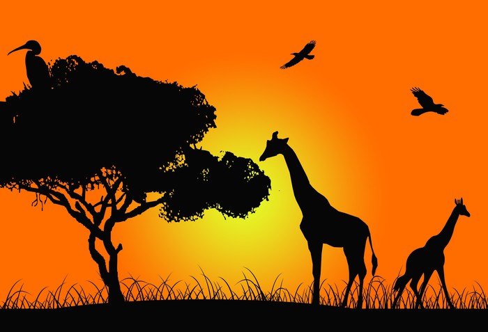 Arazzo Da Parete E Copriletto Africa Safari Tramonto 230x140 Cm - Tessuto Microfibra Morbido Con Uccelli - Lavabile In Lavatrice