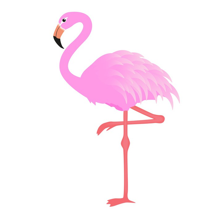 Flamingo vector Wall Mural • Pixers® • We live to change