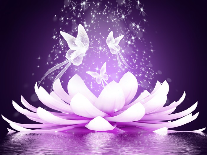 Tableau Toile Fleur De Lotus 50x100 Cm - Impression HD, Cadre En Bois, Prêt à Accrocher - Décoration Zen Salon Ou Chambre