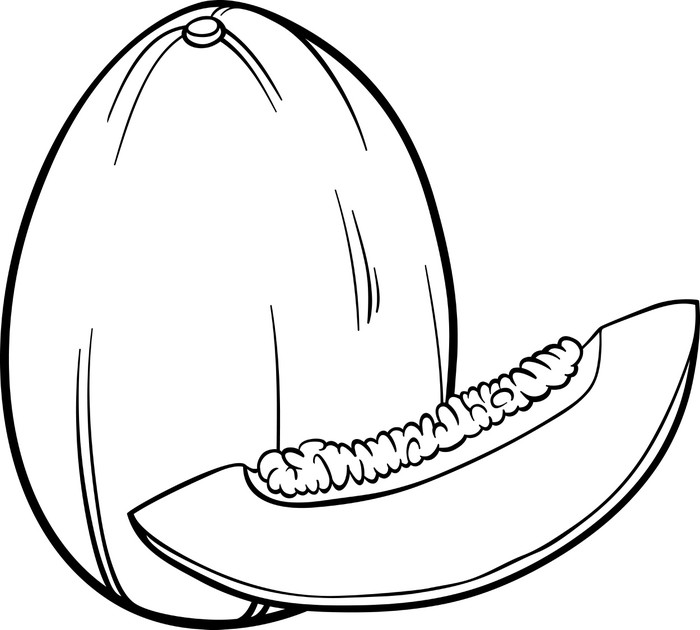 melon illustration de fruits pour livre de coloriage