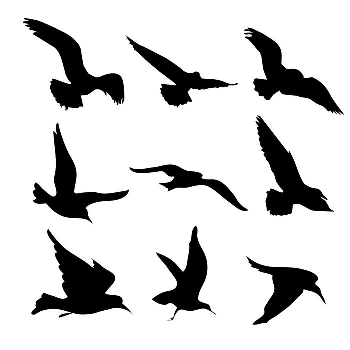 Flying Birds Silhouettes Illustration Canvas Print • Pixers® • We live ...