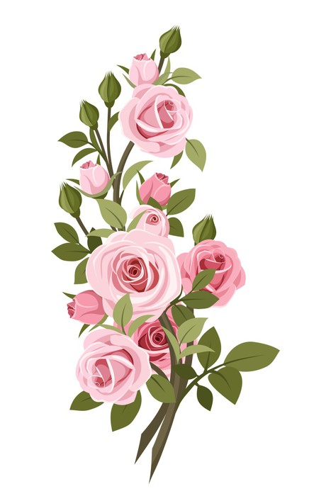 Fotomural Rama de rosas rosadas vintage.  ilustración vectorial  - PIXERS.US