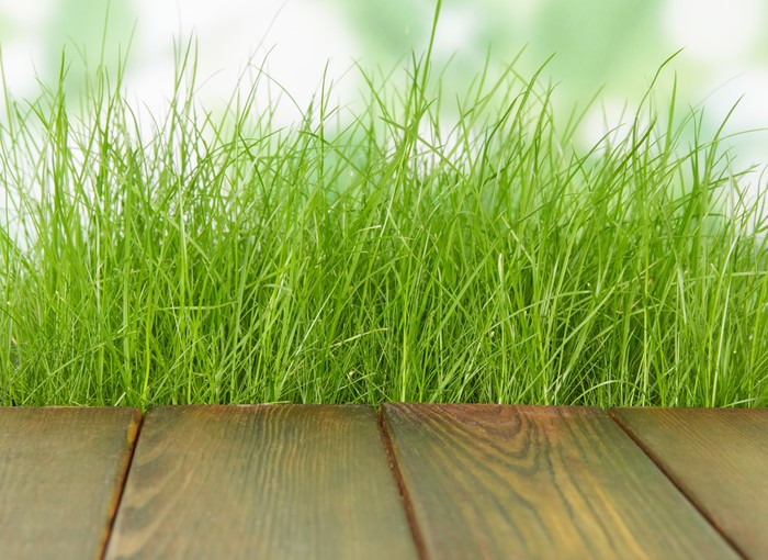 Fotobehang verse lente groen gras met houten vloer u2022 pixers® we