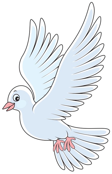 Wall Mural White pigeon flying 