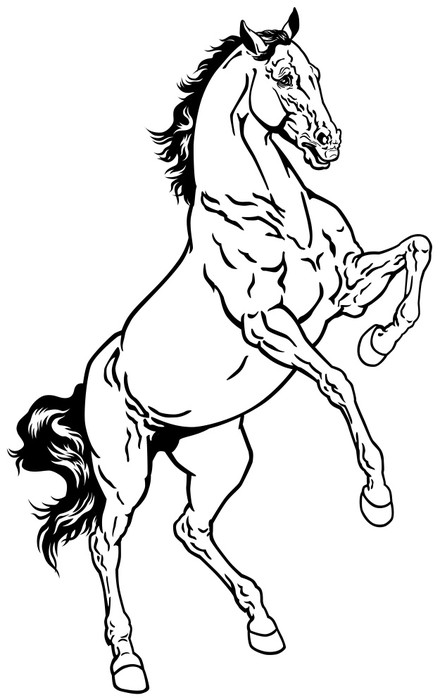 https pixers us stickers horse black white 60707777