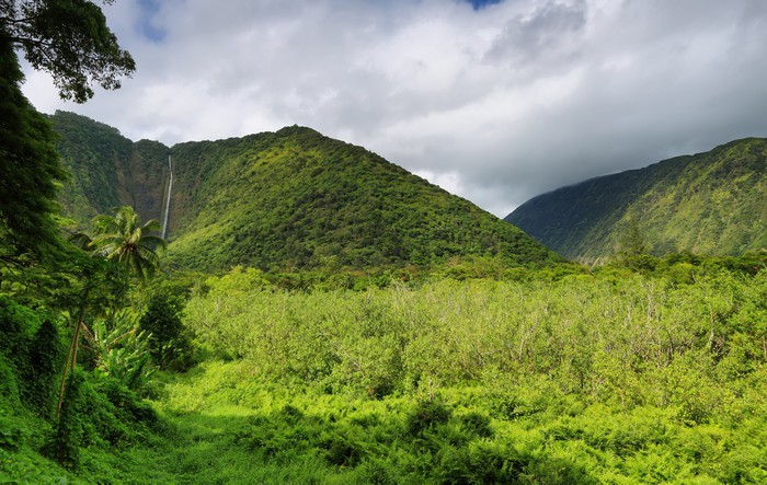 Kaluahine Waterfall, Waipio Valley, Hamakua Coast, Hawaii бесплатно