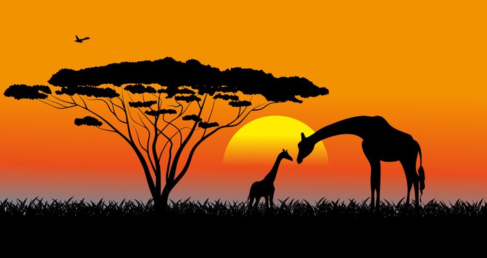 African savanna an evening landscape Wall Mural • Pixers® • We live to ...