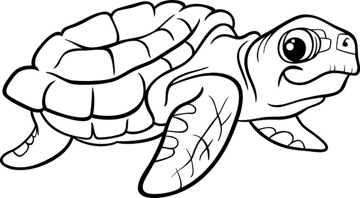 Sticker Livre de coloriage de tortue de mer • Pixers livre de coloriage de tortue de mer