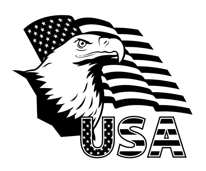 Sticker Aigle américain contre les USA drapeau. • Pixers® - Nous vivons