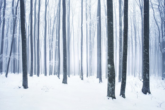 Couverture Chaude Hiver, Flanelle Modèle de Montagnes enneigées