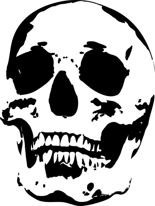 Fototapete Schwarzer Totenkopf Silhouette Auf Wei em Pixers Wir Leben Um Zu Ver ndern
