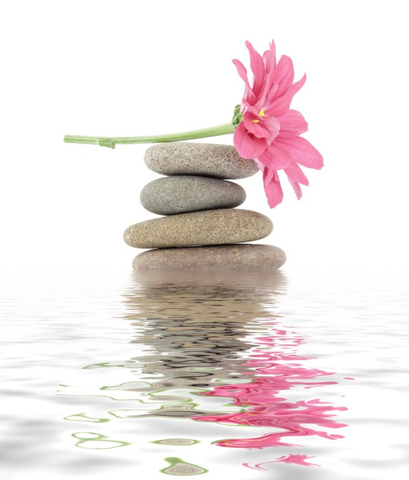 Fotomural Zen / spa piedras con flores • Pixers® - Vivimos para cambiar