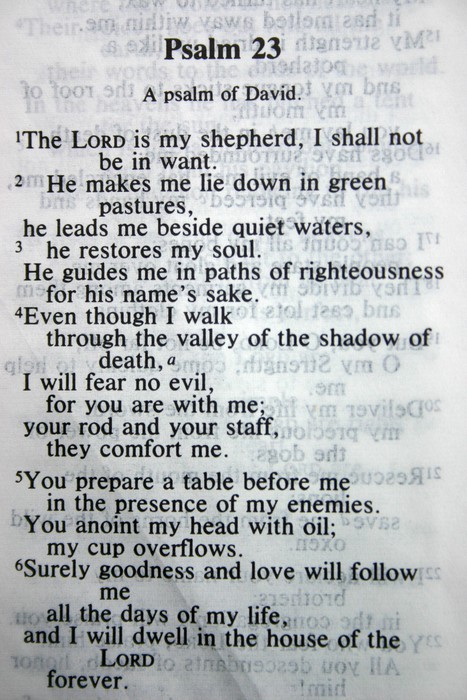 Psalm 23 - The Lord is My Shepherd (Salmo 23): Uma Leitura Guiada em Inglês  — INGLÊS ESSENCIAL 2.0