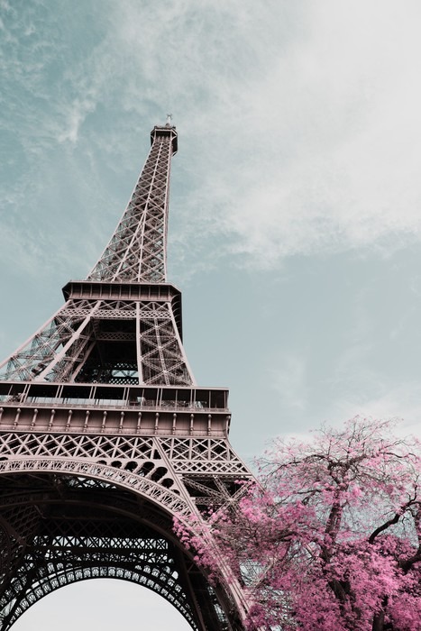 Buy Pink Paris Wallpaper Online - Happywall