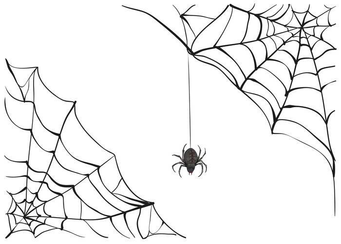 Window Curtain Valance Fall Halloween Spiderweb Spider Web Silver Metallic Black 